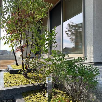 山野の木々がアプローチに彩りを添える、四季を感じるファサードエクステリア   岡山県瀬戸内市 T様邸  山野の木々がアプローチに彩りを添える、四季を感じるファサードエクステリア   岡山県瀬戸内市 T様邸