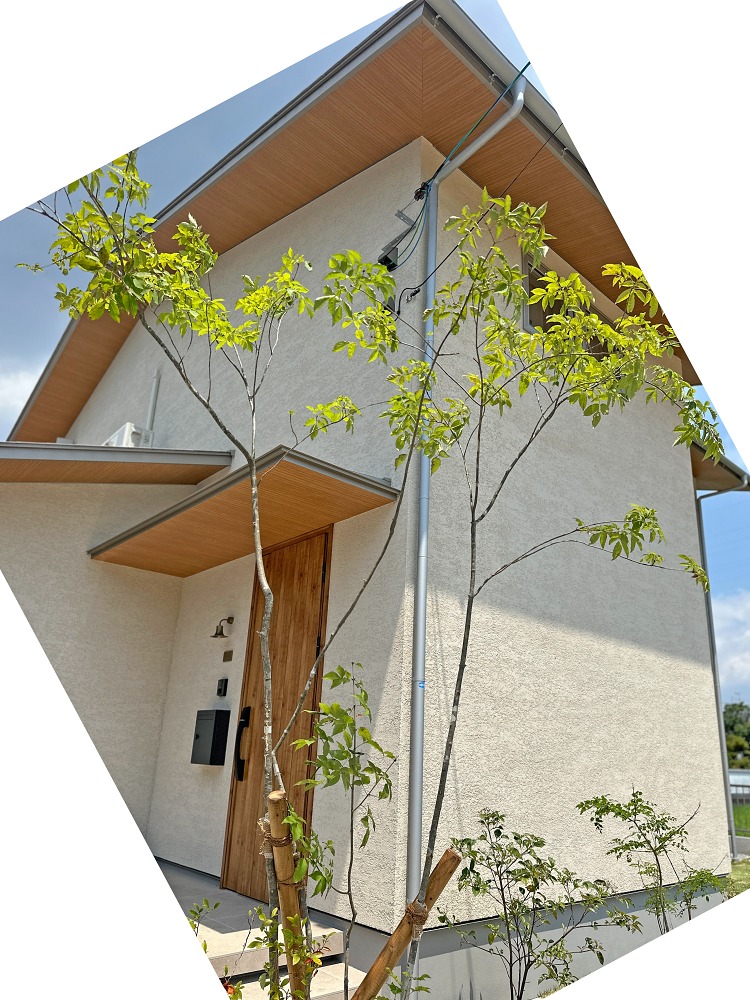 NiwaNaviPopupImage